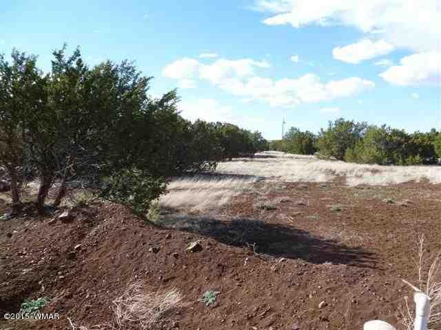 Lot 226 Docs Drive Vernon, AZ 85940 - Photo 2 of 8 a view of dirt yard with large trees
