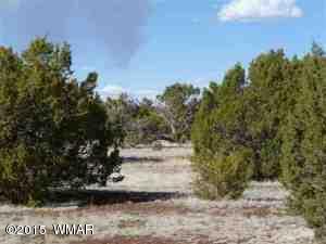Lot 226 Docs Drive Vernon, AZ 85940 - Photo 3 of 8 a view of outdoor space and yard