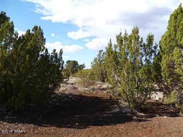 Lot 226 Docs Drive Vernon, AZ 85940 - Photo 5 of 8 a view of a yard