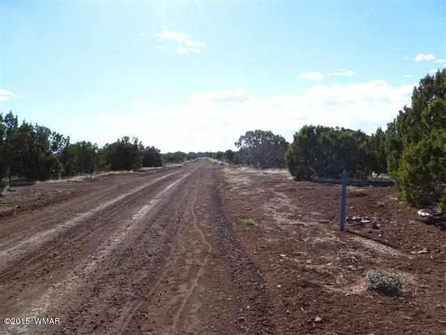 Lot 226 Docs Drive Vernon, AZ 85940 - Photo 6 of 8 a view of a dry yard with wooden fence