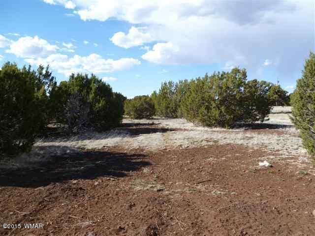 Lot 226 Docs Drive Vernon, AZ 85940 - Photo 8 of 8 a view of outdoor space with green space
