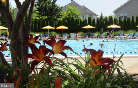 24669 Byrne Meadow Square Aldie, VA 20105 - Photo 37 of 38 One of the outdoor pools