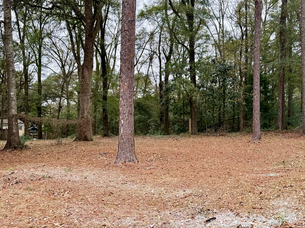 108 East High Avenue Geneva, AL 36340 - Photo 28 of 33