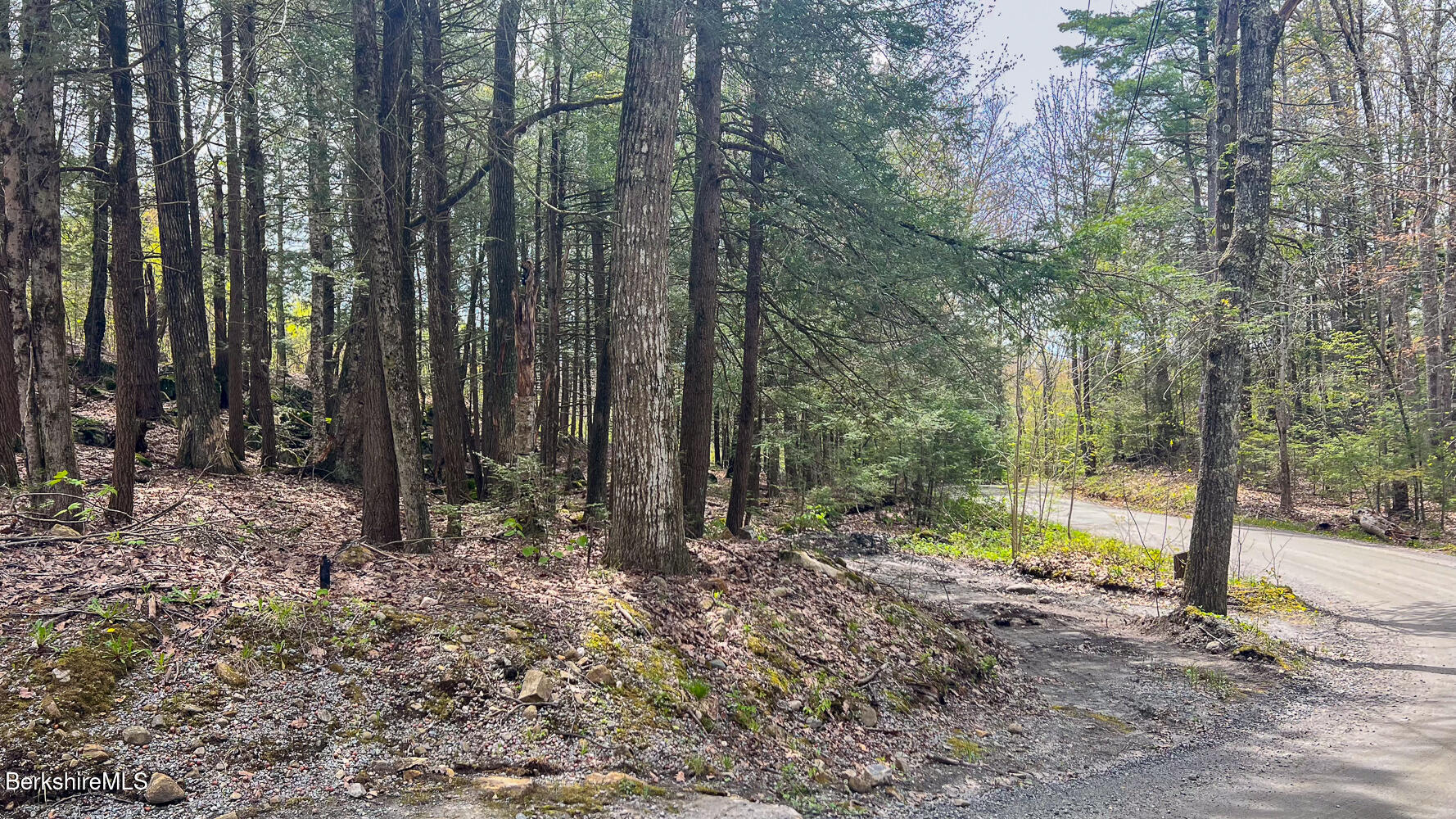 58 Stanley Road East Otis, MA 01029 - Photo 2 of 14 a view of outdoor space with trees
