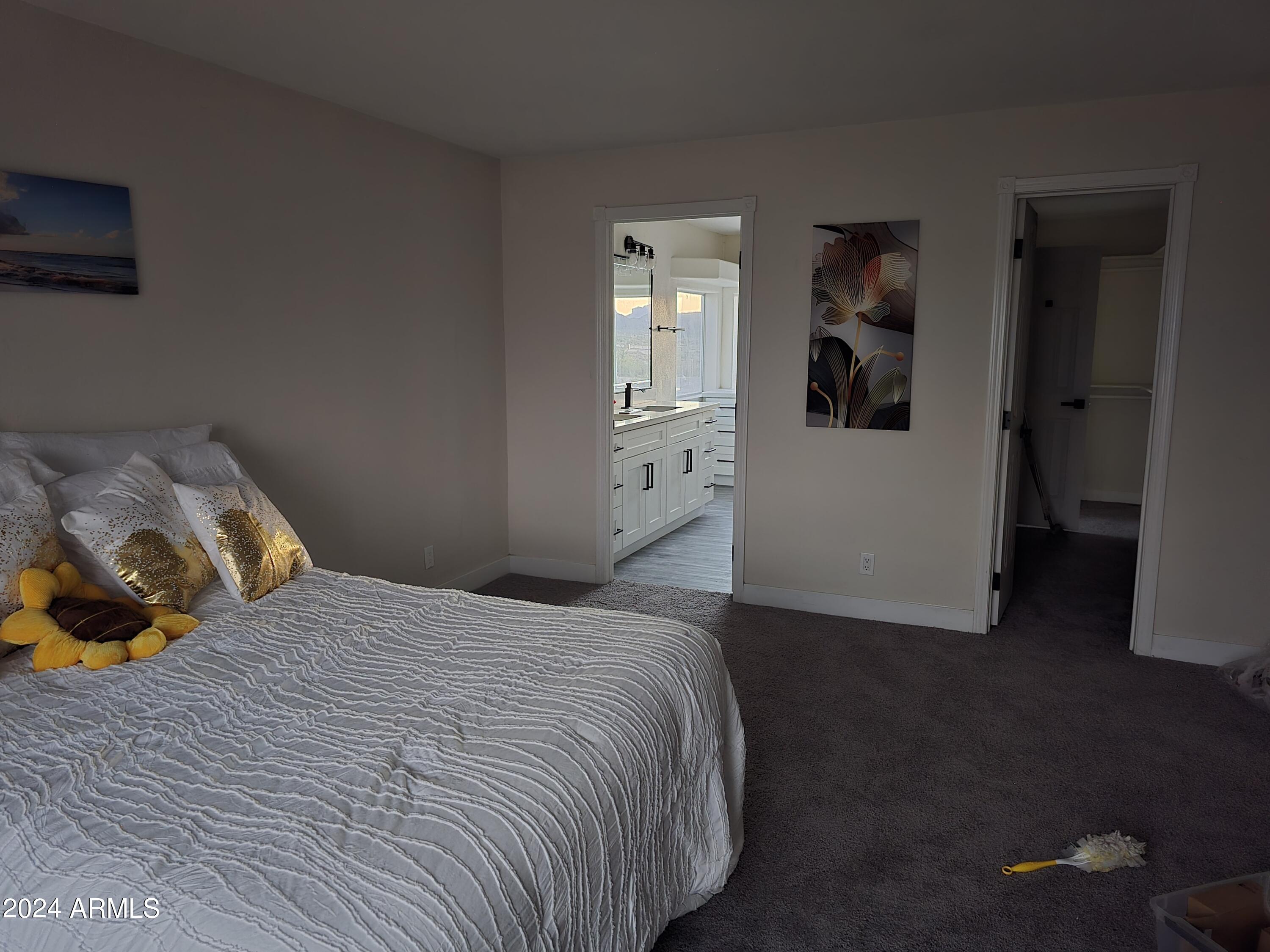 7126 South Wintersburg Road Tonopah, AZ 85354 - Photo 22 of 36 20240925_182641