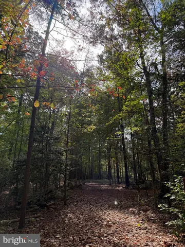 $130,000 | Lot 28 Turkey Trail, Mineral, VA 23117