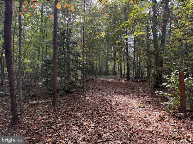 $130,000 | Lot 28 Turkey Trail, Mineral, VA 23117
