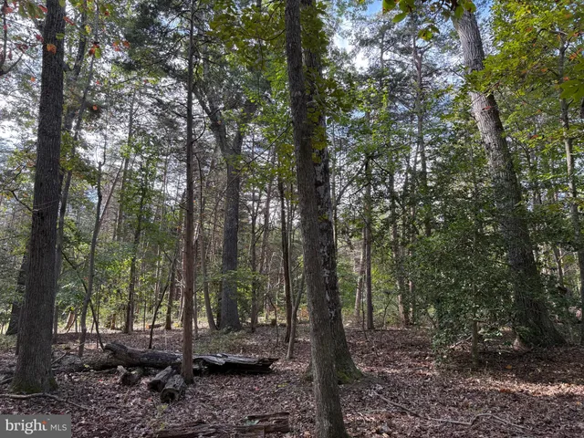 $130,000 | Lot 28 Turkey Trail, Mineral, VA 23117