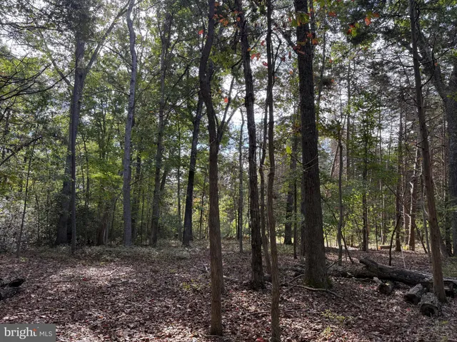 $130,000 | Lot 28 Turkey Trail, Mineral, VA 23117