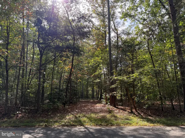 $130,000 | Lot 28 Turkey Trail, Mineral, VA 23117