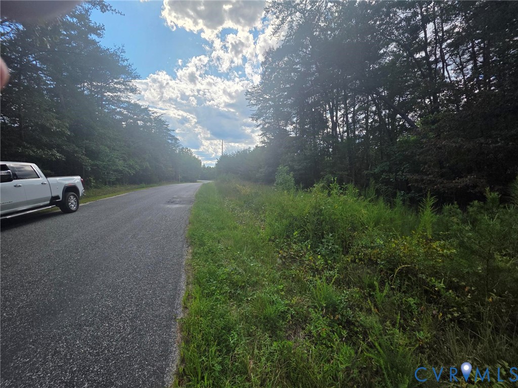 0 Lyneville Road St. Stephens Church, VA 23148 - Photo 2 of 6 View of asphalt road with a wooded view