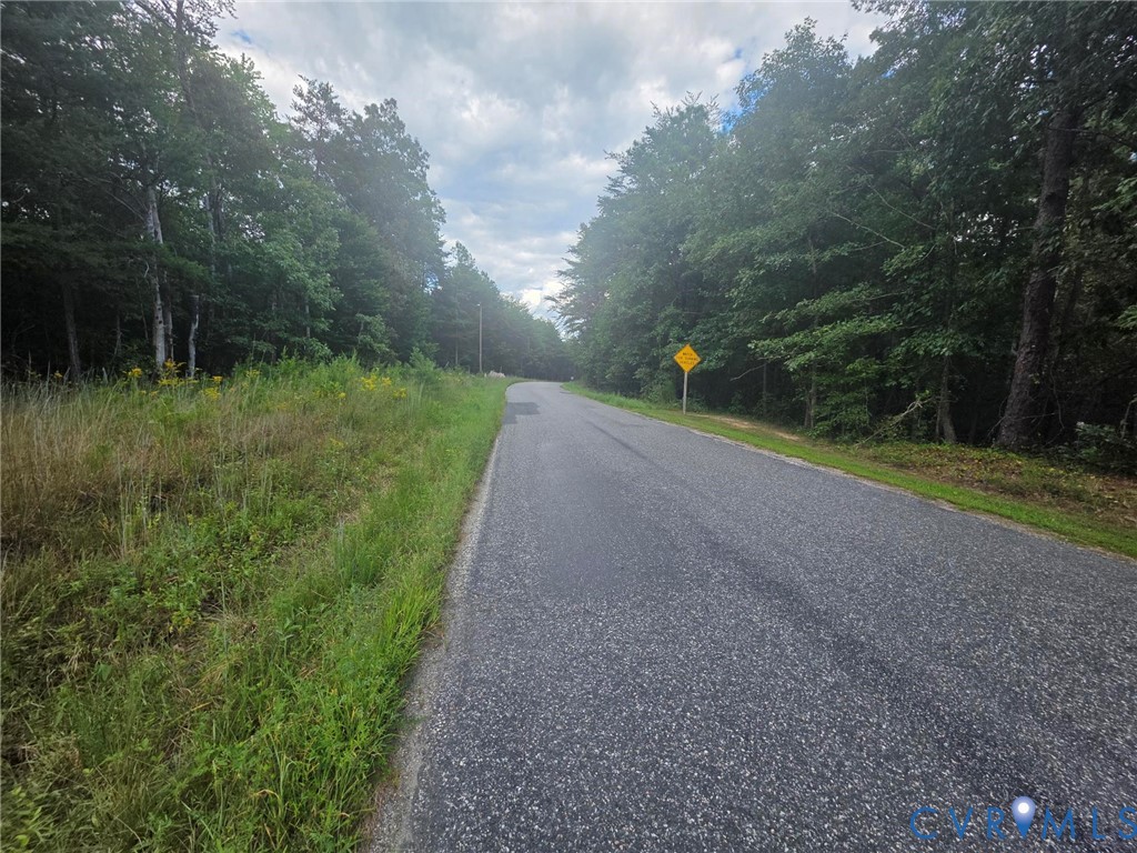 0 Lyneville Road St. Stephens Church, VA 23148 - Photo 3 of 6 View of asphalt road featuring a view of trees and