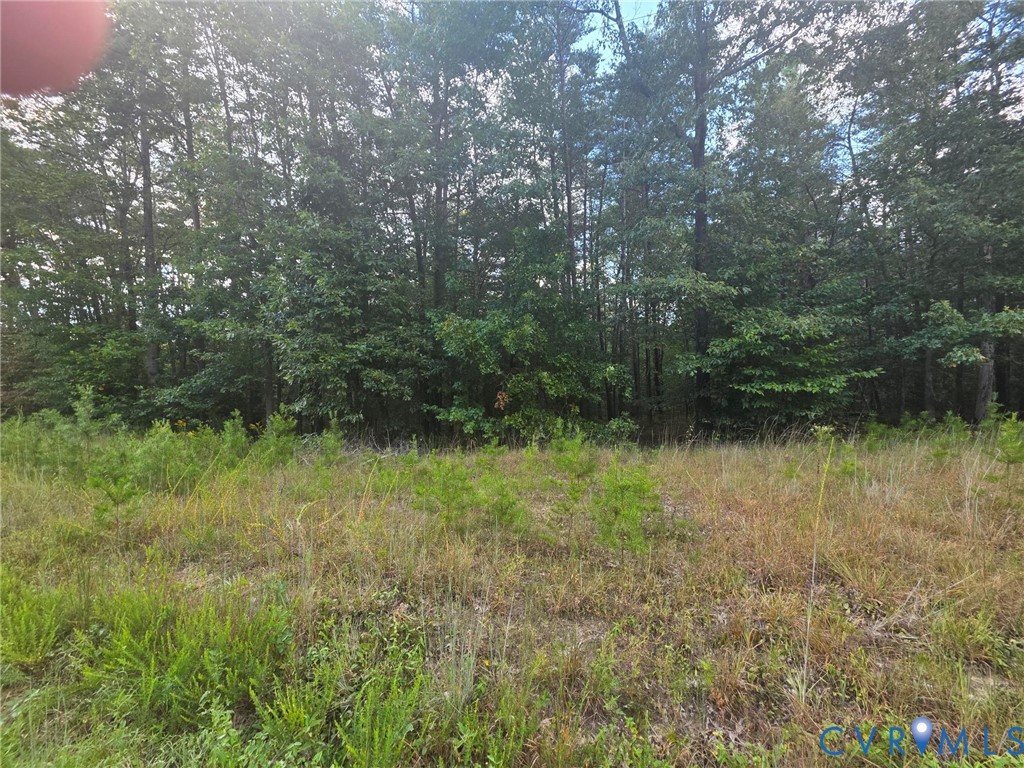 0 Lyneville Road St. Stephens Church, VA 23148 - Photo 4 of 6 View of undeveloped land