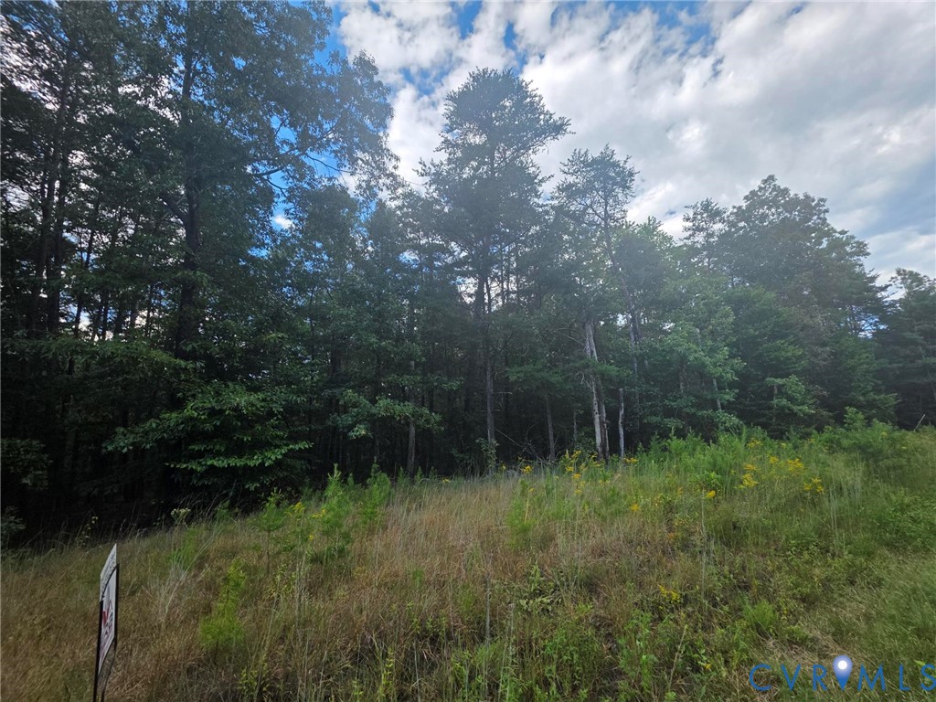 0 Lyneville Road St. Stephens Church, VA 23148 - Photo 5 of 6 View of woods
