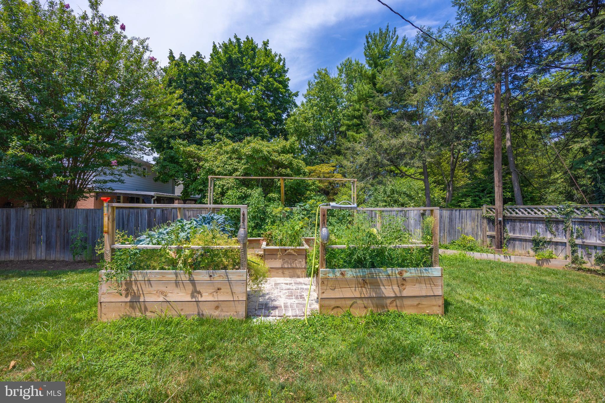 201 Crestview Court Frederick, MD 21702 - Photo 43 of 51 Raised, producing garden
