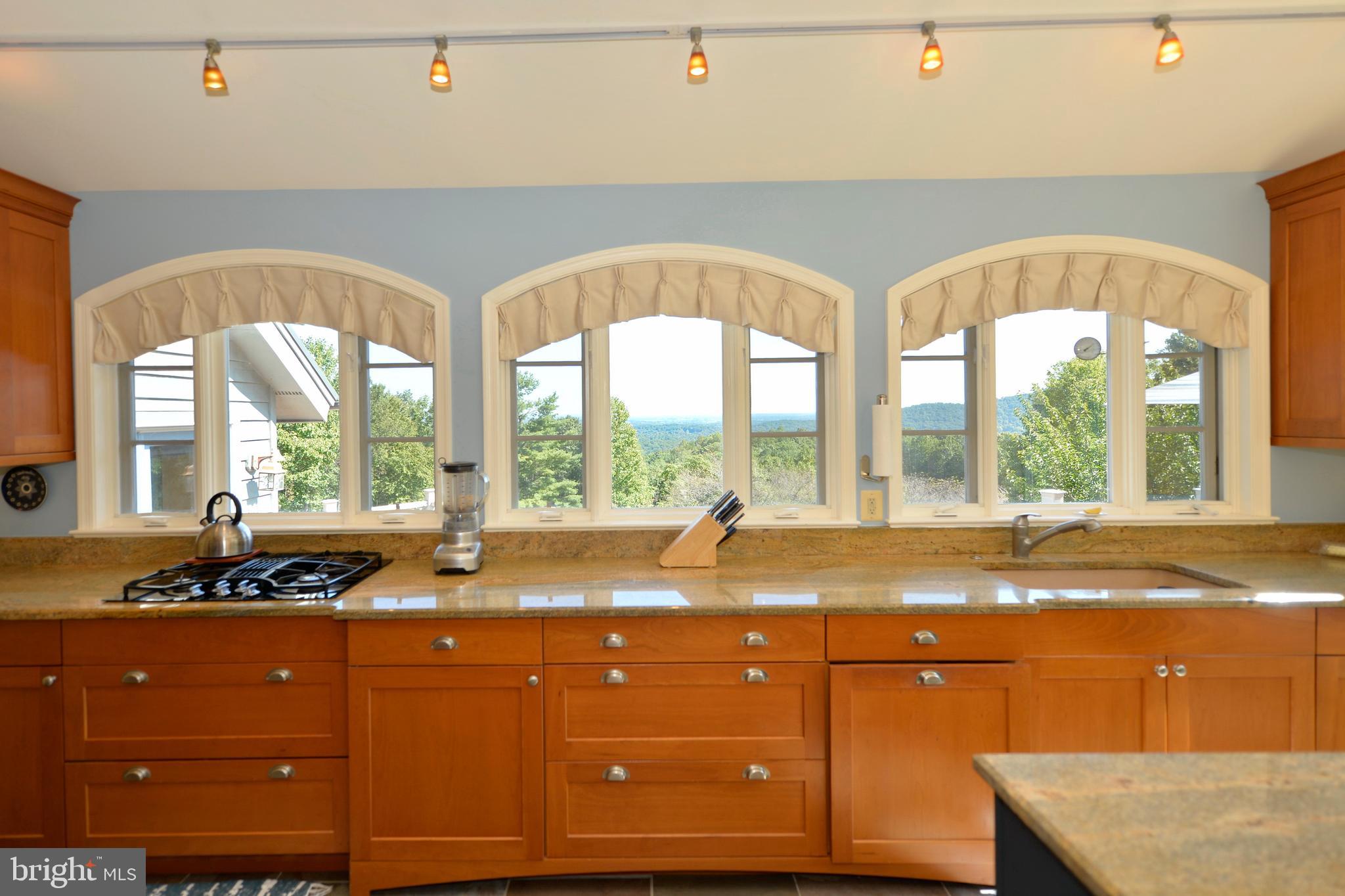 11173 Oakview Road Delaplane, VA 20144 - Photo 19 of 60 Arched windows frame those incredible views