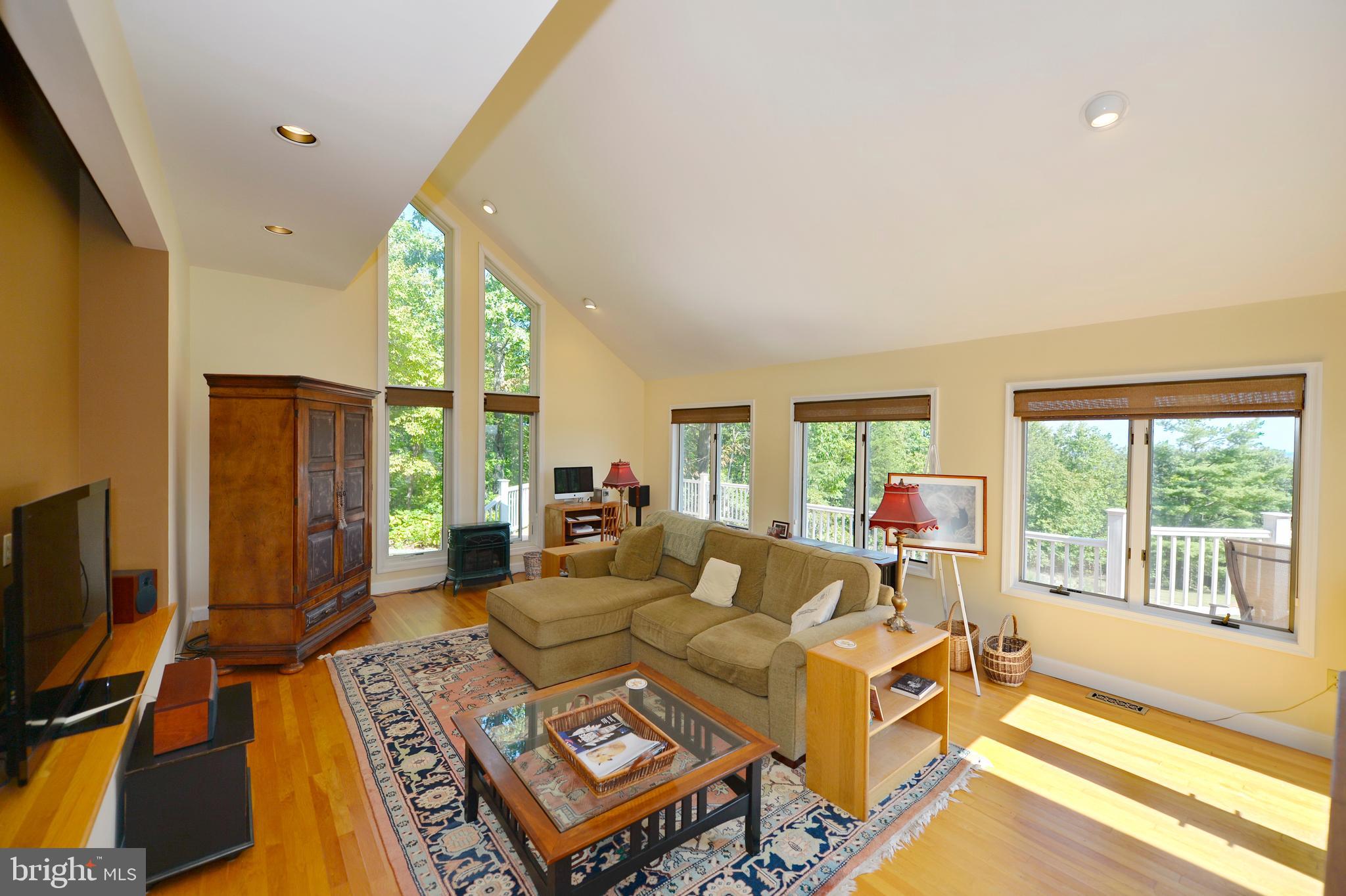 11173 Oakview Road Delaplane, VA 20144 - Photo 31 of 60 Cozy den has Vermont Castings gas stove