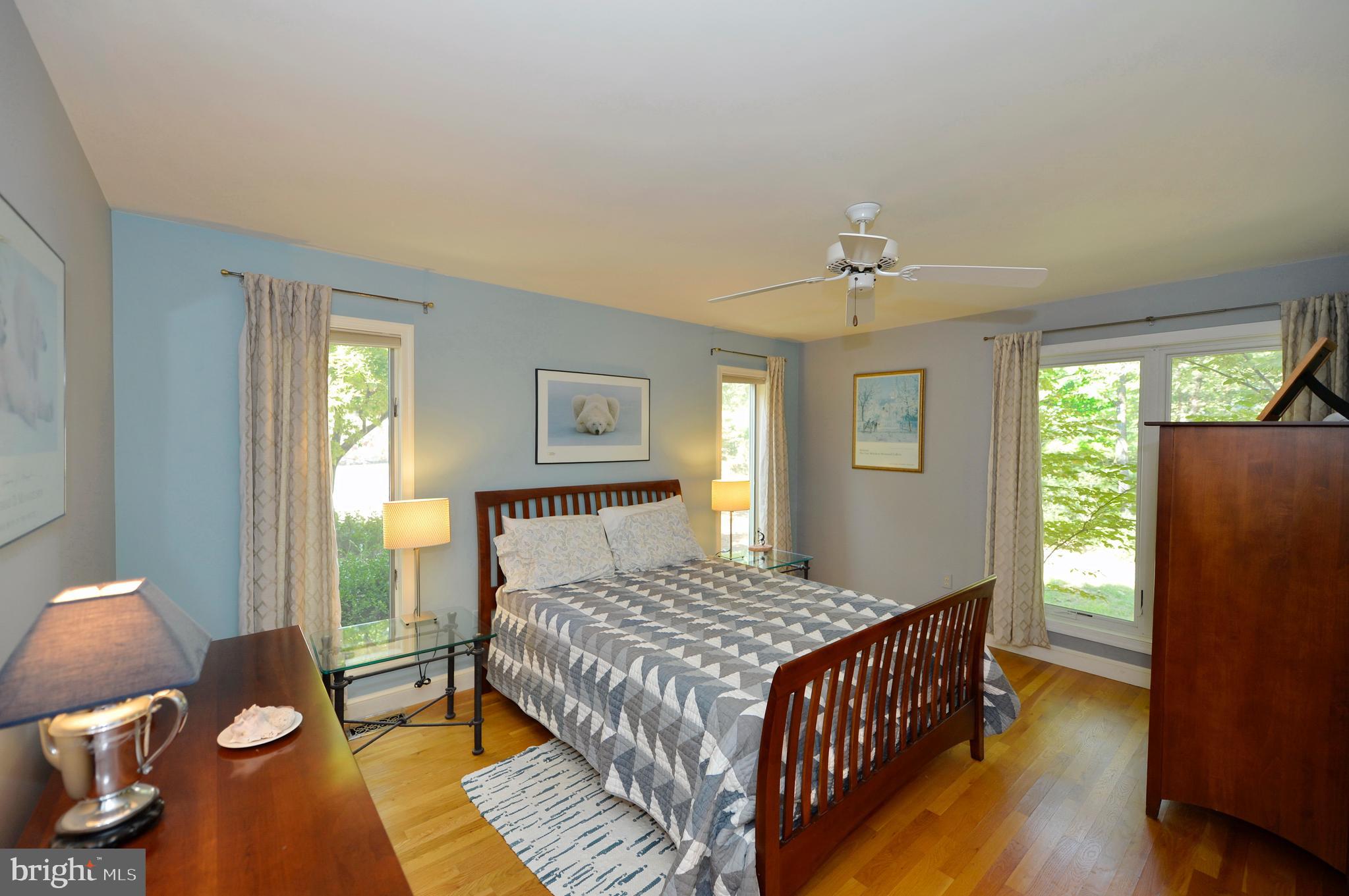 11173 Oakview Road Delaplane, VA 20144 - Photo 34 of 60 Main floor master bedroom