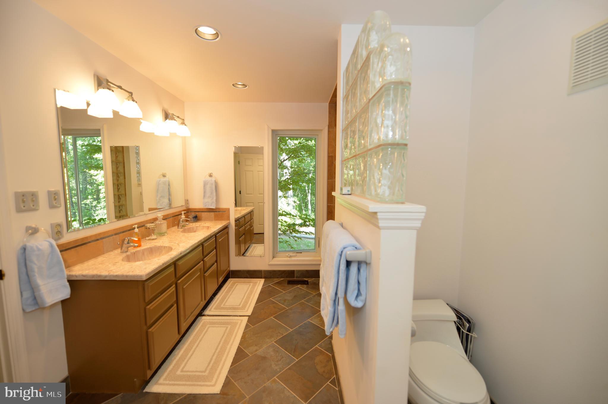 11173 Oakview Road Delaplane, VA 20144 - Photo 35 of 60 Owner's bath has vanity with 2 sinks