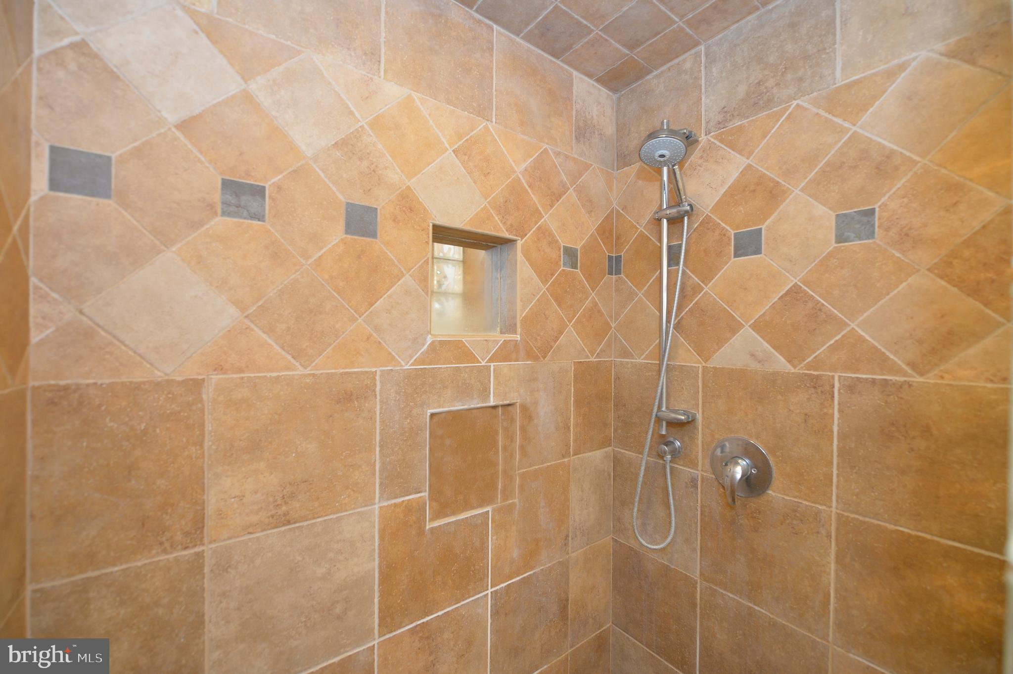 11173 Oakview Road Delaplane, VA 20144 - Photo 38 of 60 Owner's bath shower detail