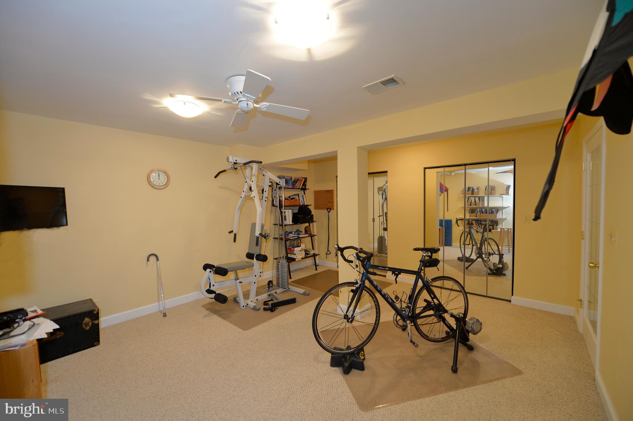 11173 Oakview Road Delaplane, VA 20144 - Photo 45 of 60 Lower level exercise area