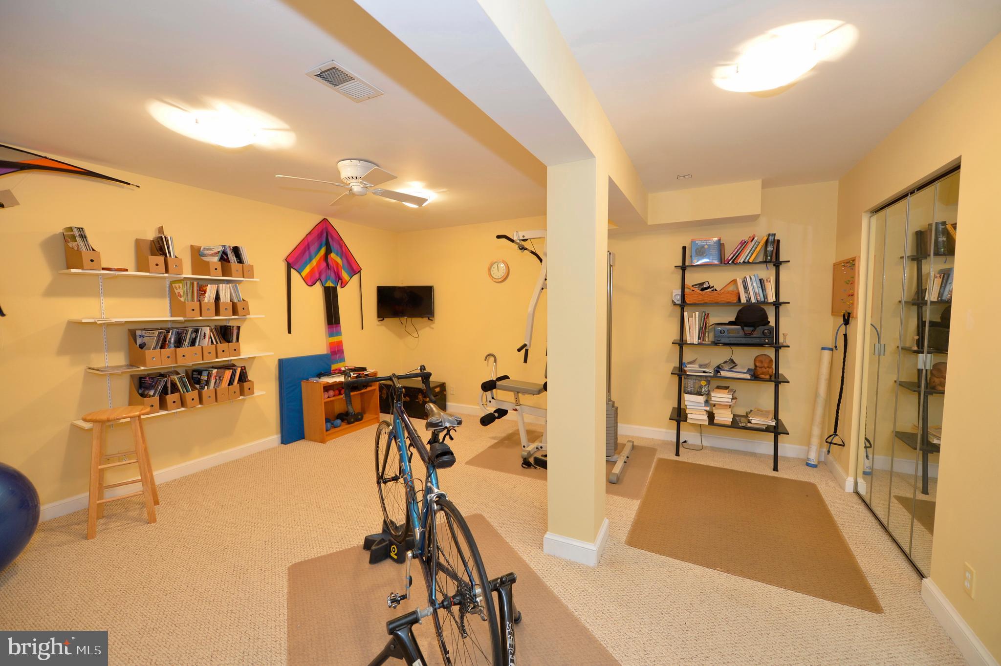11173 Oakview Road Delaplane, VA 20144 - Photo 46 of 60 Lower level recreation and exercise room