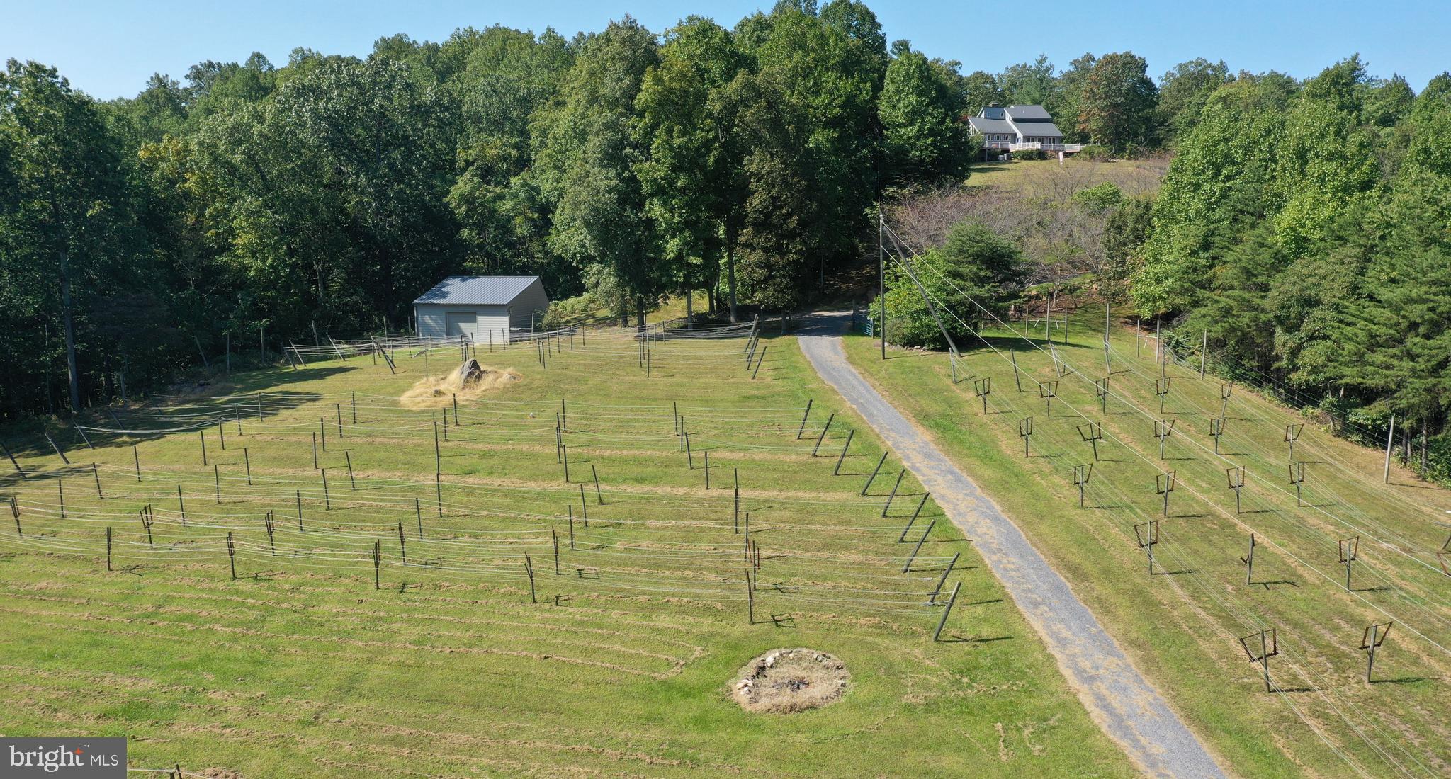 11173 Oakview Road Delaplane, VA 20144 - Photo 8 of 60 A few acres laid out & ready for new vines.