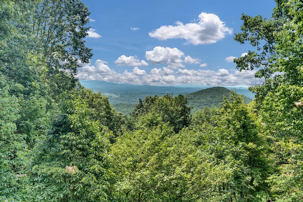 368 Walnut Ridge Ellijay, GA 30536 - Photo 22 of 47 Gallery Image 22