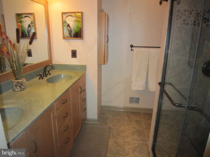 4627 4th Road North Arlington, VA 22203 - Photo 11 of 11 Bath (Master)