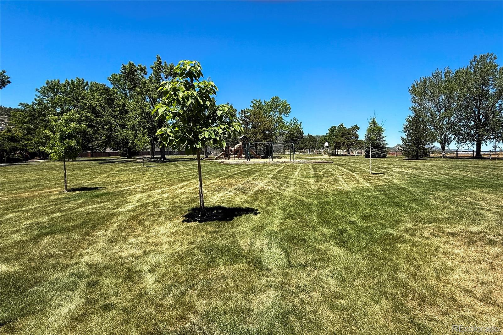 11675 West Elk Head Range Road Littleton, CO 80127 - Photo 32 of 41
