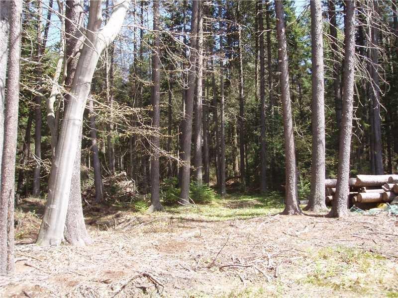 140 S Road Chebeague Island, ME 04017 - Photo 14 of 15 Photo
