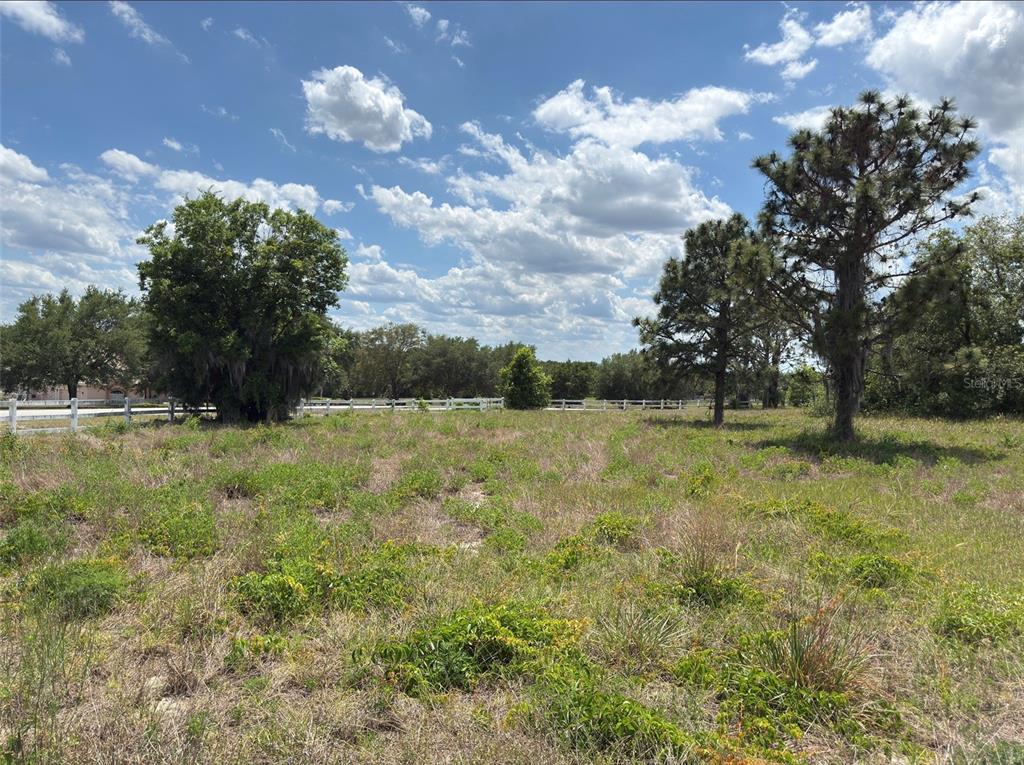 6115 Ranch Lake Road Groveland, FL 34736 - Photo 18 of 29 Gallery Image 18