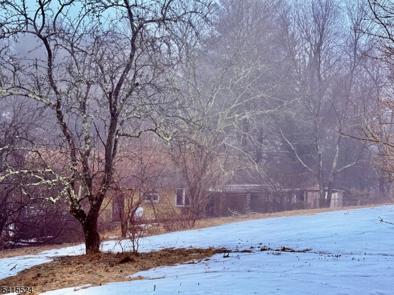 150 Karrville Road Port Murray, NJ 07865 - Photo 35 of 40 a view of a yard with a tree