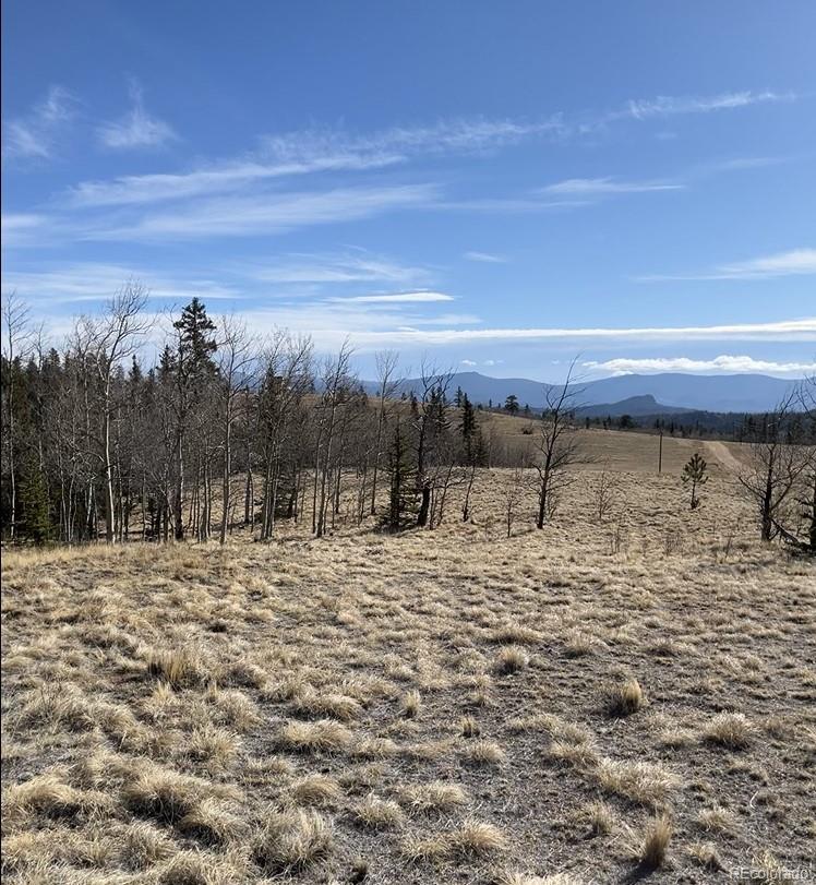 27 Warpath Road Como, CO 80432 - Photo 19 of 21 a view of a dry yard with wooden fence