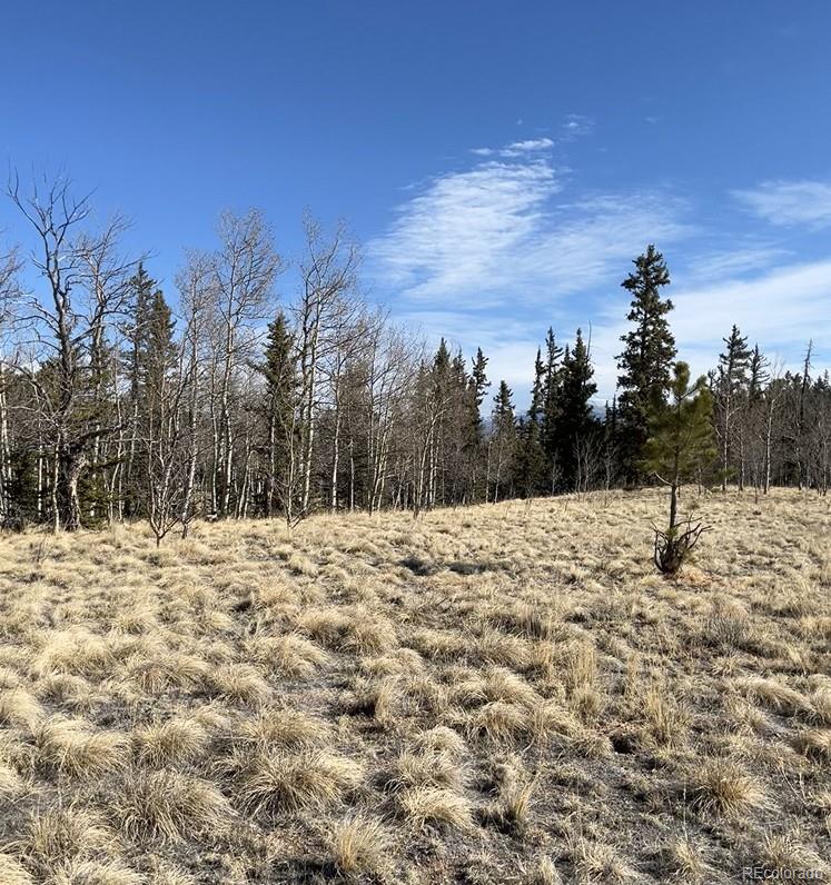 27 Warpath Road Como, CO 80432 - Photo 20 of 21 a view of a dry yard with trees