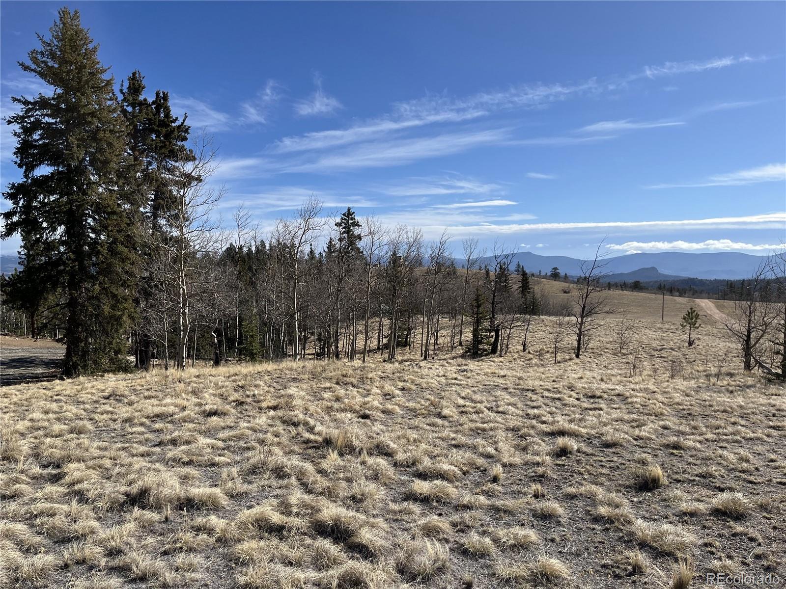 27 Warpath Road Como, CO 80432 - Photo 8 of 21 a view of a yard with trees