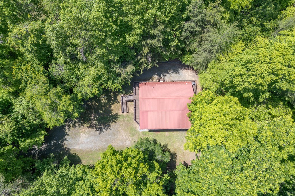 166 Lake Ridge Drive Blue Ridge, GA 30513 - Photo 35 of 45 Gallery Image 35