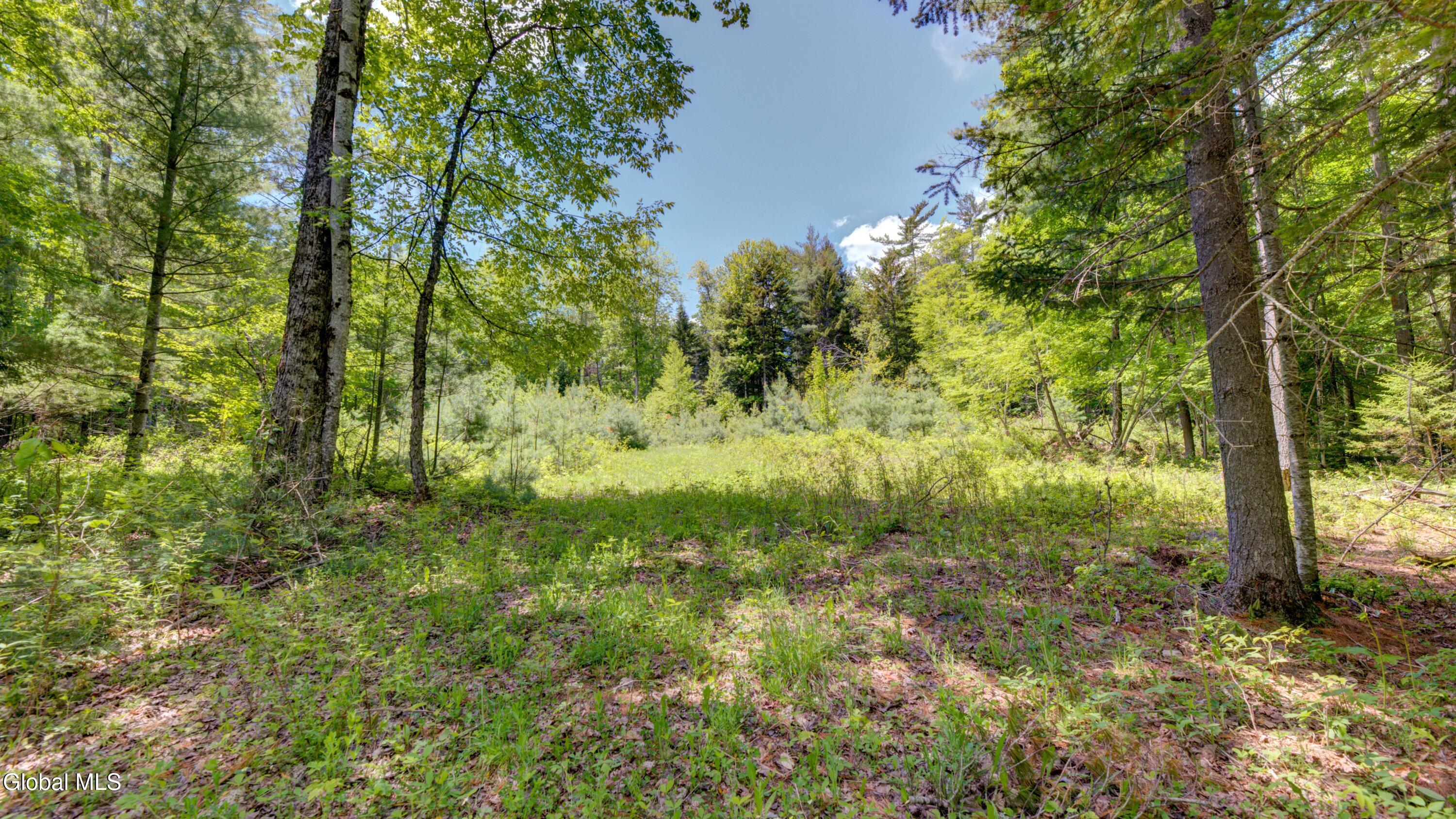389 Windfall Road Wells, NY 12190 - Photo 20 of 24 389 Windfall Rd-21