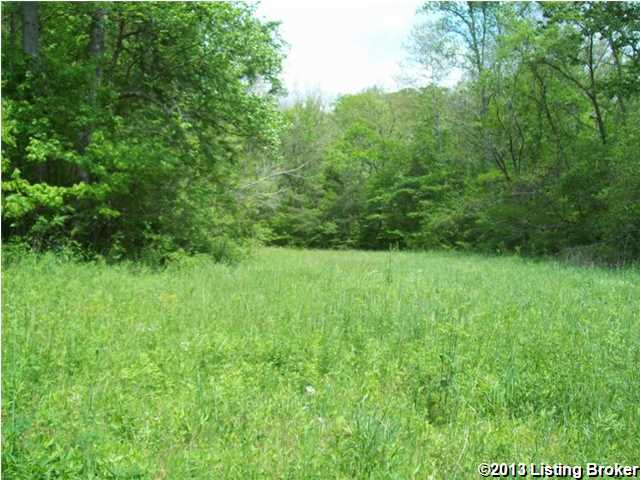 0 Horse Branch Road Cub Run, KY 42729 - Photo 2 of 8 Primary Photo