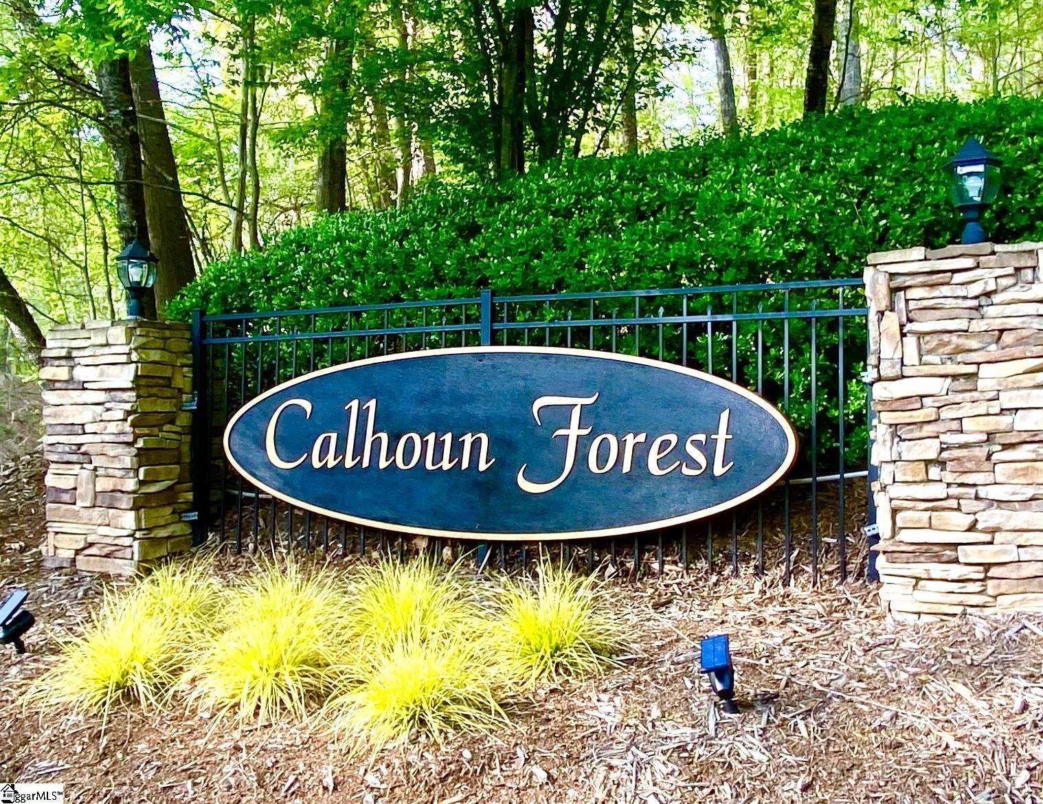 204 Catawbah Road Clemson, SC 29631 - Photo 2 of 36