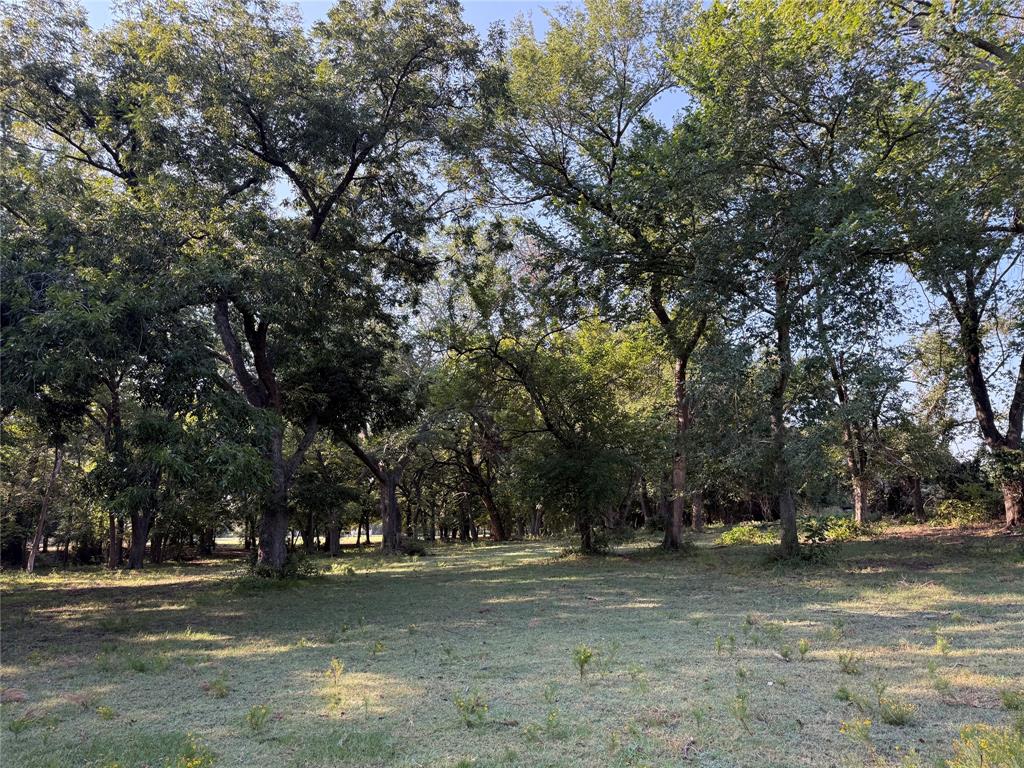 Tbd West Jeter Road Argyle, TX 76226 - Photo 6 of 8 a view of a trees in a yard