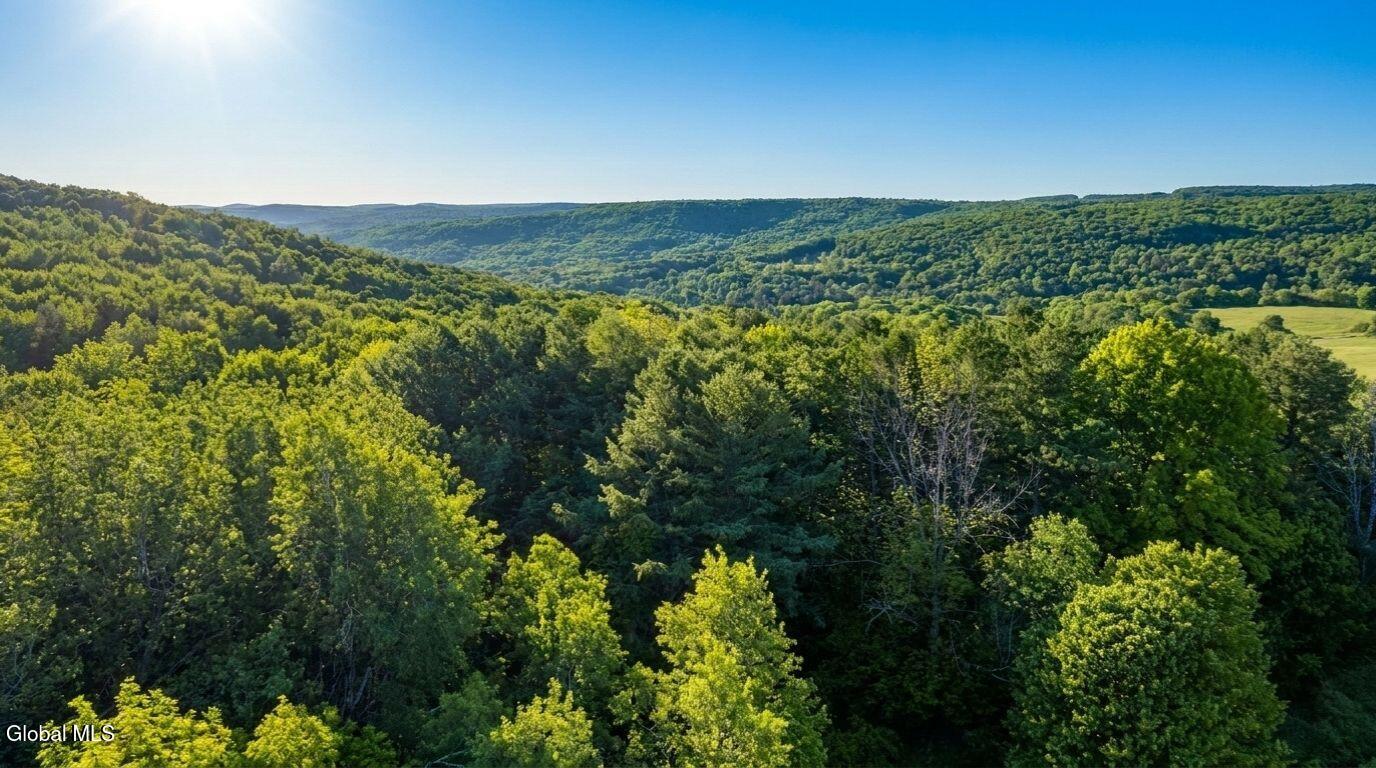 788 Teed Road Sidney Center, NY 13839 - Photo 71 of 73 788-teed-rd-walton-ny-drone-photo.jpg (1