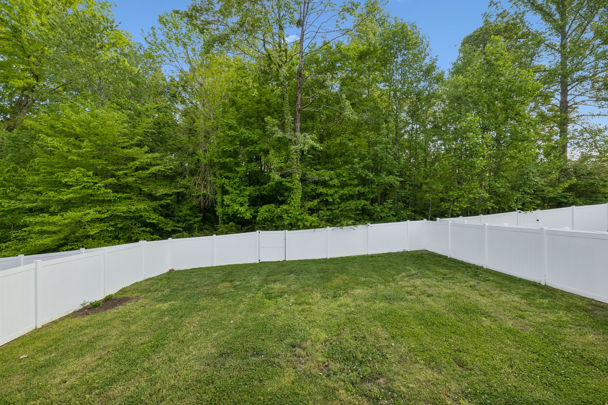 1004 Sycamore Ridge East Burns, TN 37029 - Photo 10 of 59