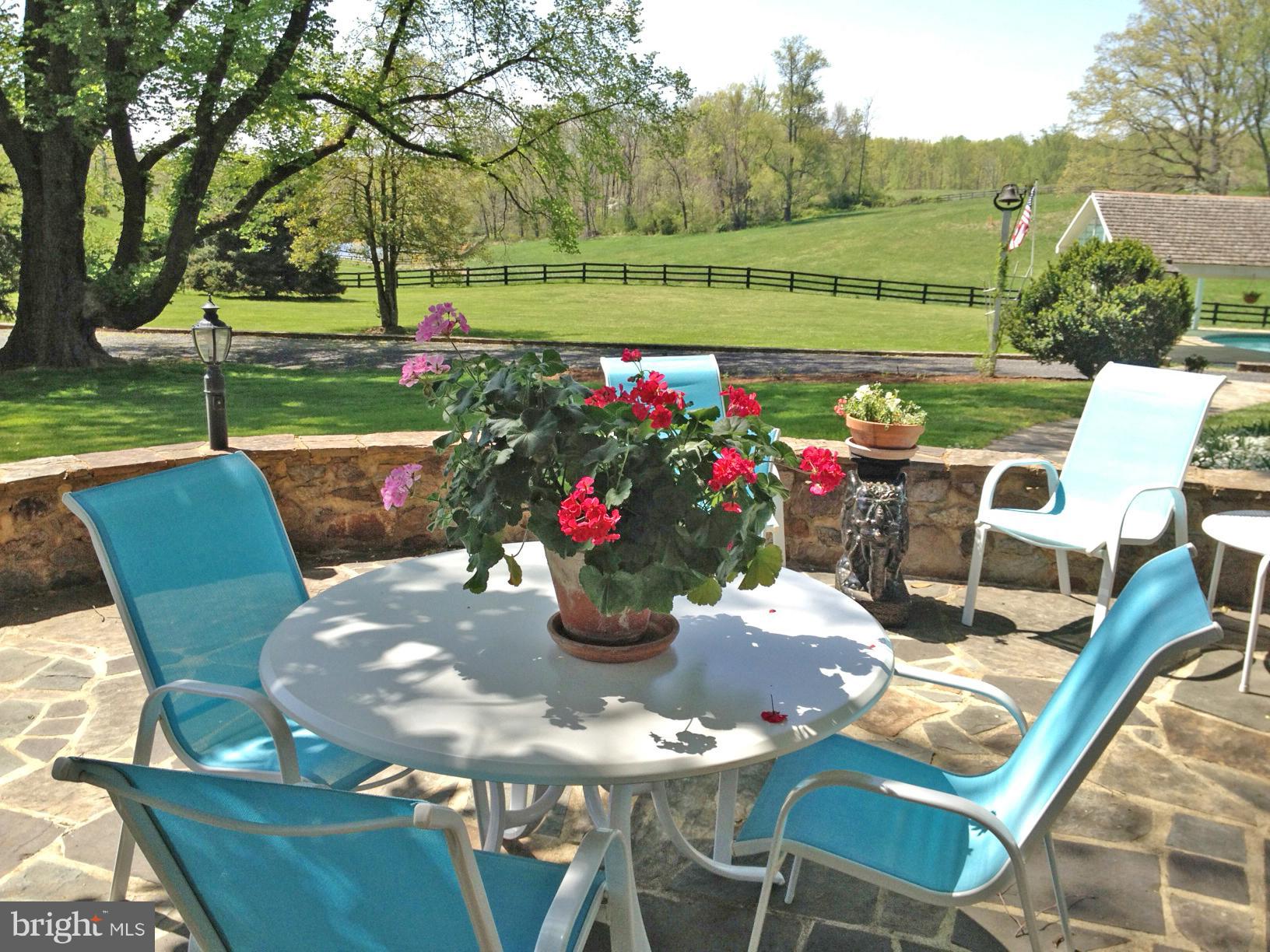 6252 Leeds Manor Road Hume, VA 22639 - Photo 15 of 30 View from patio