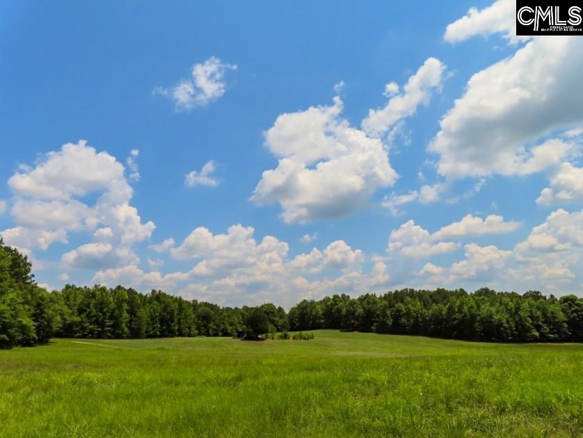 3296 Flat Rock Road Kershaw, SC 29067 - Photo 24 of 94