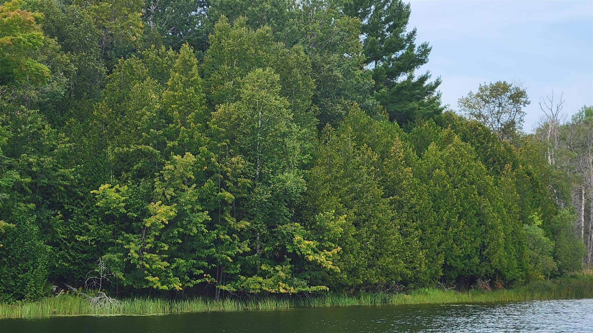 South River Road Cheboygan, MI 49721 - Photo 1 of 6 Gallery Image 1