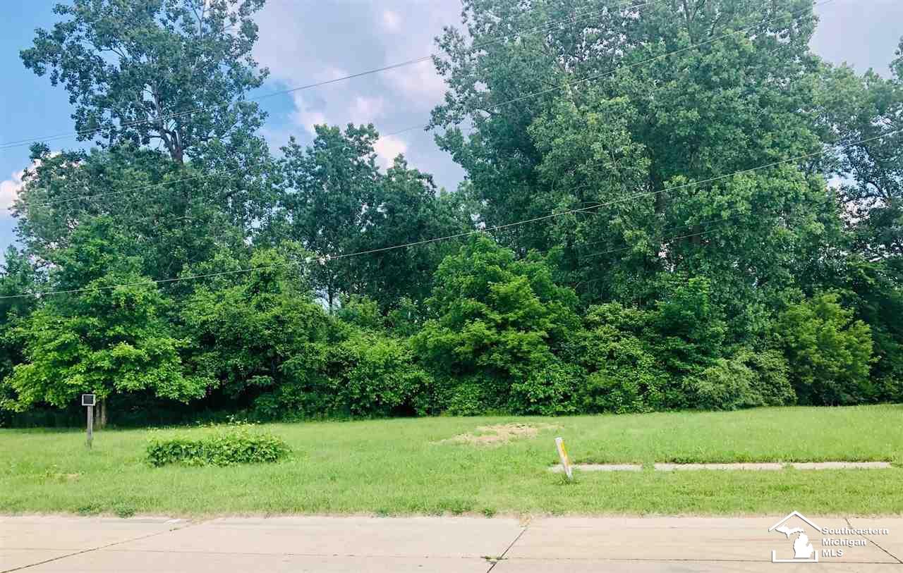 16277 Harrison Street Romulus, MI 48174 - Photo 1 of 2