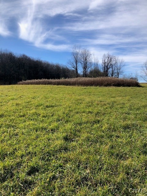 0 Kingdom Road Mohawk, NY 13407 - Photo 1 of 1