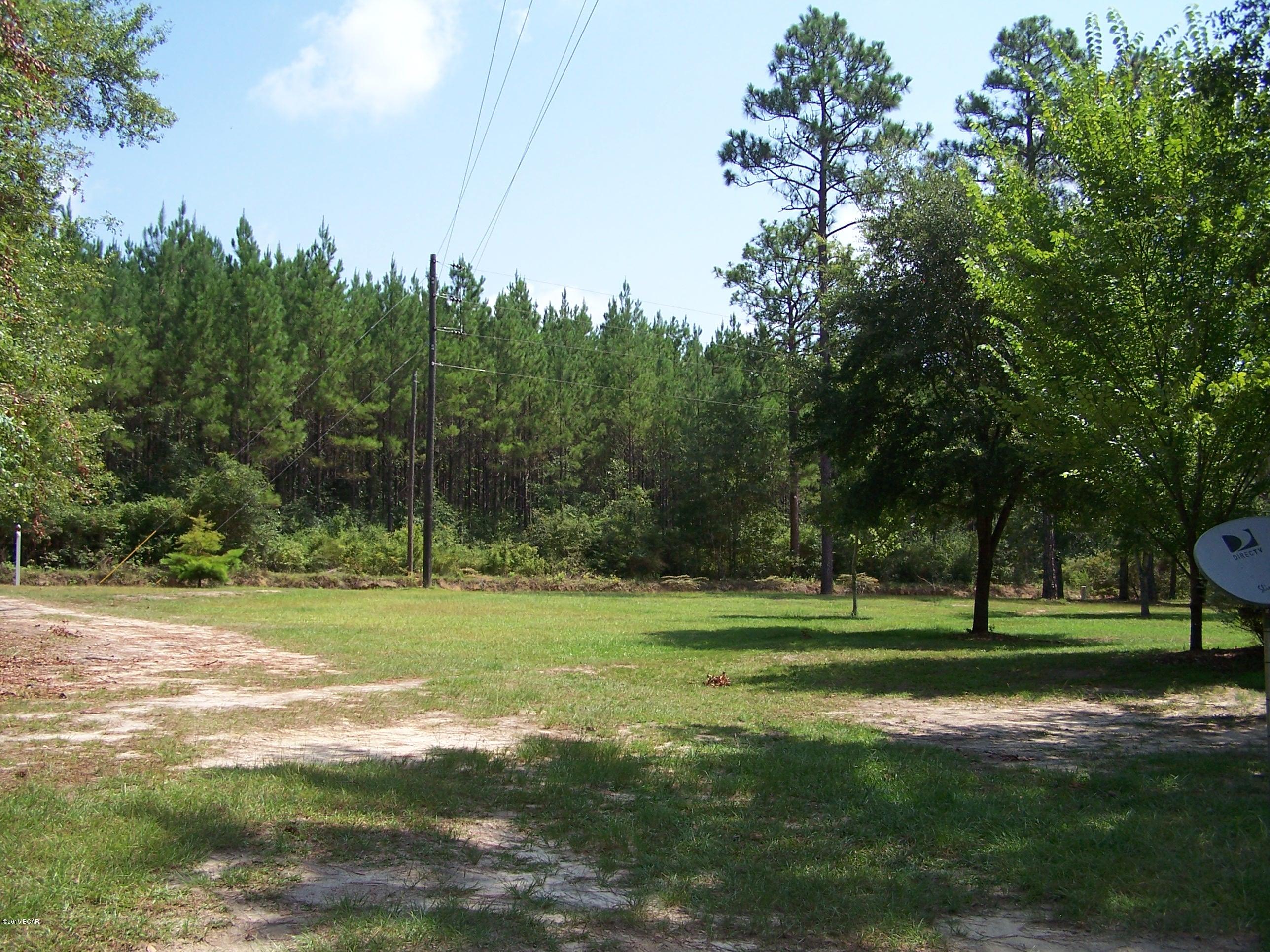 3238 East Martin Road Bonifay, FL 32425 - Photo 44 of 50 Gallery Image 44