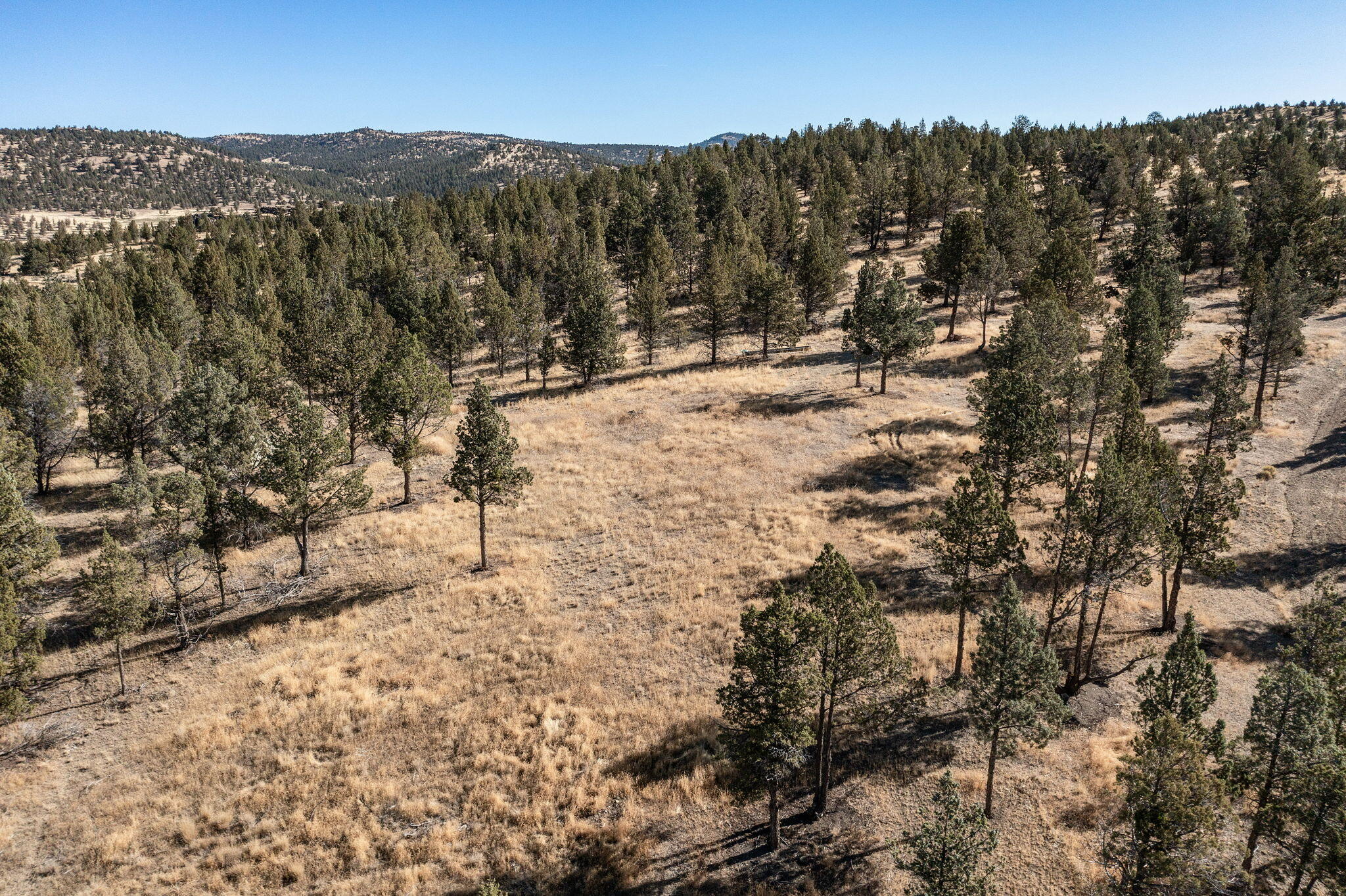 5598 North Mckay Road Prineville, OR 97754 - Photo 28 of 81 IMG_5848